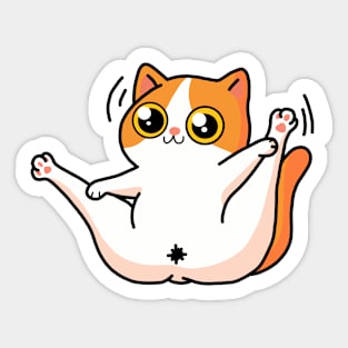 Funny cat, Master look at me! Sticker